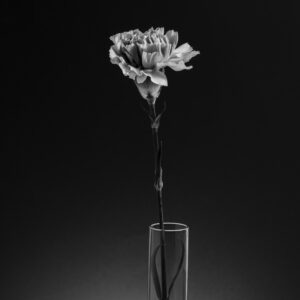 Beautiful Black & White Minimal Design