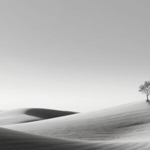 Black & White Background with Tree