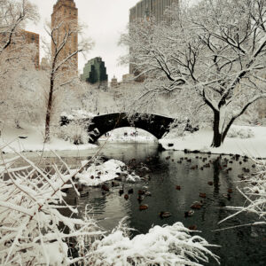 Central Park Winter with Skyscrapers